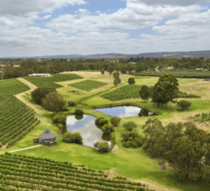 Swan Valley Wine & Food